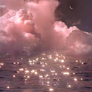 女性向av免费观看入口男同
