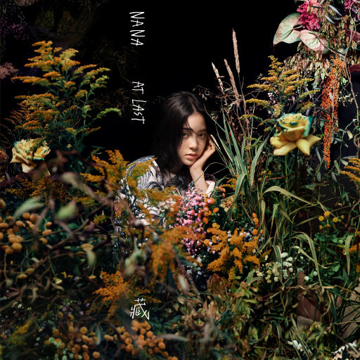 女性向av免费观看入口男同
